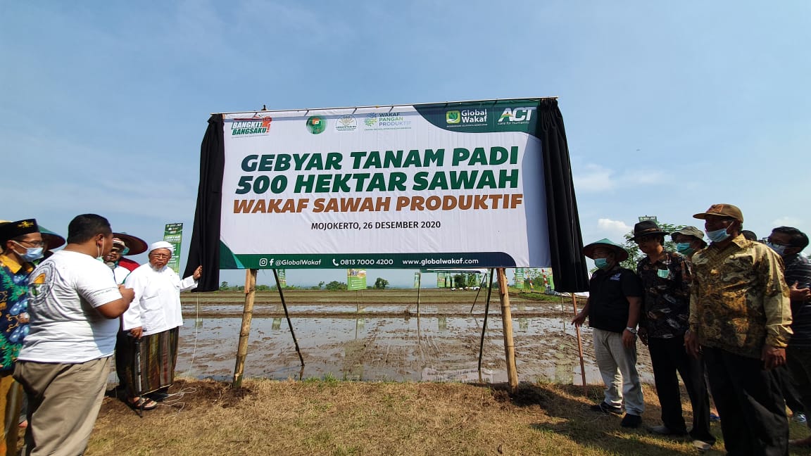 Tingkatkan Kesejahteraan Petani, Global Wakaf-ACT dan YP3I Gelar Gebyar Tanam Padi